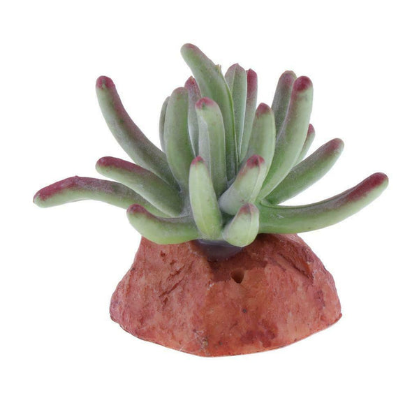 6PCS Aquarium Fish Tank Plants Succulents Reptile Hideaway Decoration - Reptile