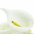 12Pcs Mini Calla Artificial Flower Bouquet Wedding Decoration DIY Wreath Gi