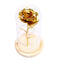 Mini Light Nightlight Rose Shaped With Wood