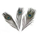 10Pcs Natural Peacock Feathers DIY Jewelry Decoration Plumes Accessories Cr BX