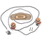 3 String Cigar Box Guitar Pickup Amplifier with Input Jack Cable String