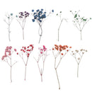 10pcs/Set Mini Gypsophila Cute Dried Flower Wedding Decoration DIY Hand acco BX