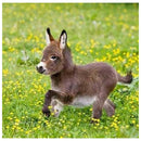5D DIY Diamond Painting Donkey Full Round Drill Embroidery Home Decor Craft