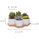 Set Of Decorative Geometry Hexagon White Ceramic Succulent Plant Pot Porcel