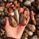 Natural Madagascar Banded Agate Stone Specimen Tumbled Pattern Craft 2-3CM US!!