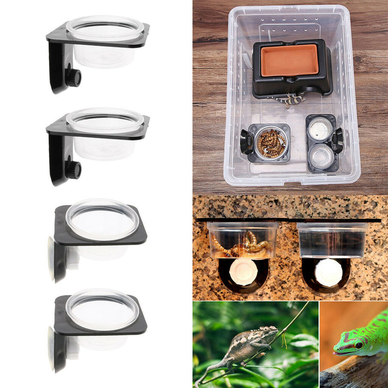 2Pcs Insect Spider Reptile Tank Food Water Feeding Bowl Terrarium Pot