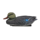 Vivid Duck Decoy PE Wigeon Decoys Drake Decoy Scarer Flyer Shooting Target