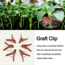 50x Gardening Grafting Clips For Home Garden Vegetable Bushes Vine Flower Q6R4