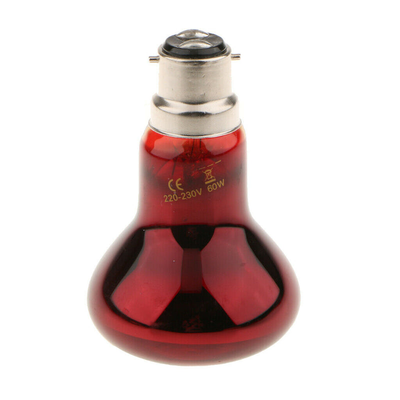 2Pcs B22 Reptile Heat Basking Lamp UVA Heater Glass Heat Emitter 220V 60W