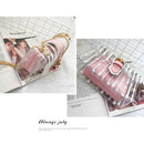 Striped Clear Transparent Pvc Women Messenger Crossbody Bag Chains Jelly Su X3J7