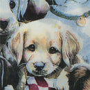 20pcs lovely puppy dog soft decoupage napkin paper  tissue for  party decor JR