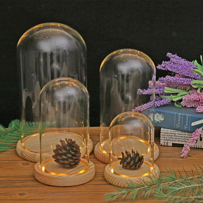 DIY Craft Glass Dome Cover Dry Flower Vase Wood Cork Cloche Oval 10x25cm
