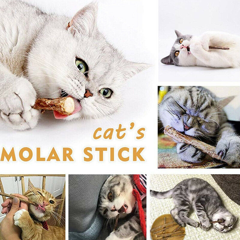 Cat Catnip Sticks Natural Matatabi Silvervine Sticks - Cleaning Teeth Molar S8Q6