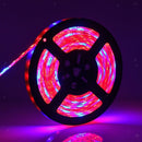 Grow Light Strip Small Plant Area Greenhouse Home Plant Flower Tape Light