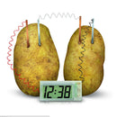 Potato Clock Novel Green Science Project Experiment Kit Lab Home School TN`US