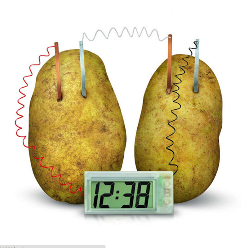 Potato Clock Novel Green Science Project Experiment Kit Lab Home School TN`US