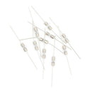 10pcs Glass Tube Fuse Axial Leads 3.6*10mm 1A Slow Blow FT