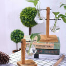 Creative Transparent Water Planting Glass Vase With Wooden Stand Desktop De S6X8