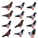 12Pcs Artificial Simulation Foam Bird, Feathered Dove Ornaments DIY Craft for