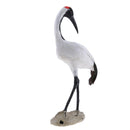 Garden Bird Ornament Realistic Red-crowned Crane Animal Outdoor Statue NEW