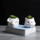 Cute Cat Pattern Ceramic Flower Pot  Succulents Cactus Plants Mini Pot Planter Z