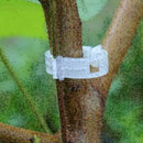 Garden Vegetables Tomato Vine Stalks Grow Upright Support Plant Clips Gift V3V5