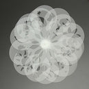 16Pcs Cappuccino plastic Pull flower mold white O4U8
