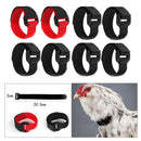 8x Chicken Collar Free Neckband Prevent Chicken from Screaming for Rooster