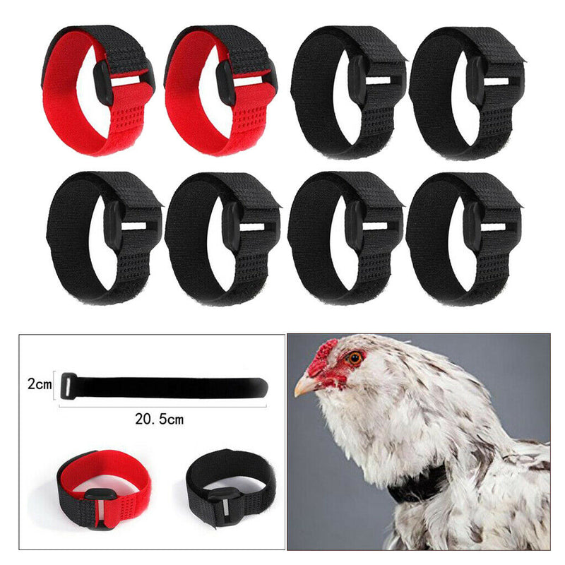 8x Chicken Collar Free Neckband Prevent Chicken from Screaming for Rooster