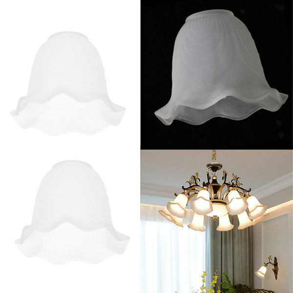 2pcs Unique Design Replacement Glass Shades for Wall Lights & Ceiling Fan Lights