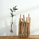 Glass Test Tube Planter Vase in Wooden Stand Flower Pot Scindapsus Container