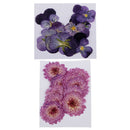 22 Pieces Real Pressed Daisy Flower Natural Dried Flowers Dried Pansy Flowers