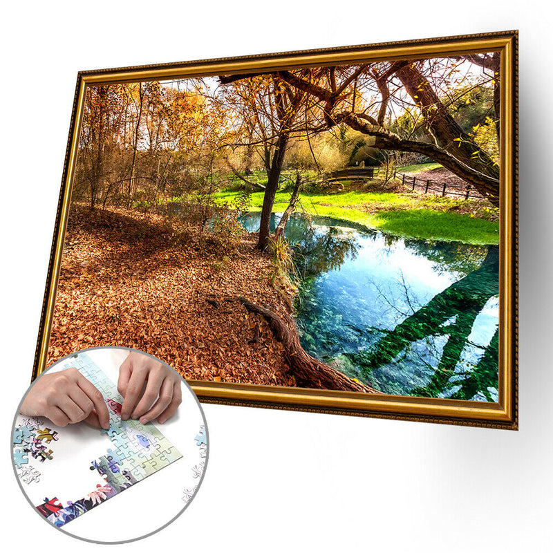 1000 Pieces DIY Paper Jigsaw Puzzle Narrow Creeks Landscape Picture Decor
