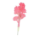 Simulation Succulents Plants DIY Edelweiss For Home Office Decoration Red