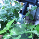 Gray Garden Fog Nozzle Pressure Sprayer Drip Irrigation with 4/7Mm Tees Con