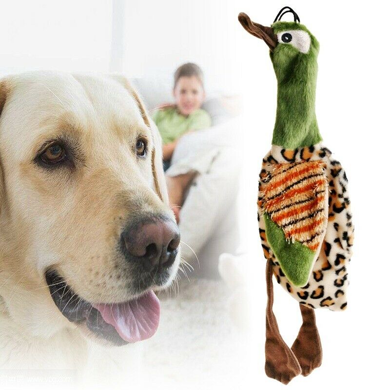Pet Dog Puppy Cute Squeak Plush Bird Stuffing Interactive Sound Play Toys-G S9C4