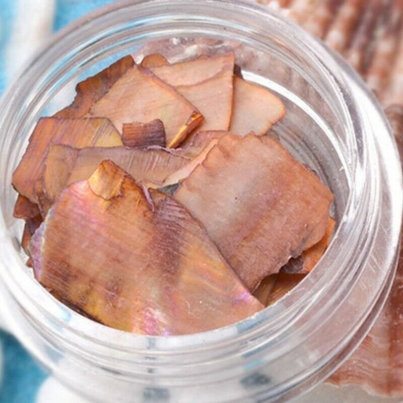 1 Set 12 Mix Color Crushed Shell Fragment for False Acrylic UV Gel Tip Nail G9V8