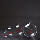 12cm Hanging Flower Plant Garden Vase Bottle Hydroponic Terrarium Container