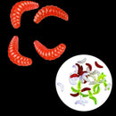 100Pcs Soft Plastic Fishing Lures Maggots Grubs Worms Baits K7S0 A9M4 D4V6 G7U9