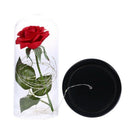 Beauty And Beast Eternal Flower Rose With Led Wedding Decoration Artificial