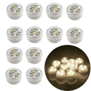 12x Submersible Waterproof BatteryOperated TRIPLE LED Floralyte BRIGHT Tea U2G3