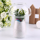 Clear Glass Vase Bottle For Plant Flower Decorations - Mushroom X4M6