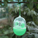 Harmless Fly Trap Wasp Catcher