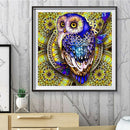 5D DIY Diamond Painting Owl Rhinestone Kit Full Square Wall Picture (F048)