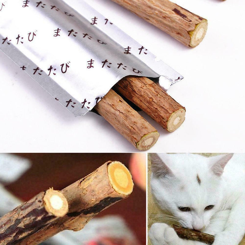 Pet Cat Snacks Matatabi Chew Catnip Stick Teeth Molar Tool Brush Cleaning A2L5