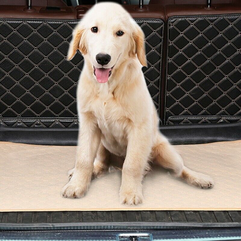 Anti-Slip Washable Dog Pet Diaper Mat Urine Absorbent Environment Protect D K4V4