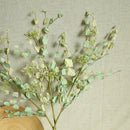 Natural Dried Flowers Artificial Flower Dried Eucalyptus Leaf Home decoratio Hn