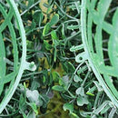 Artificial Plastic Milano Simulation Grass leaf leaf green glass Lantern Ba H6G1