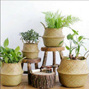 Seagrass Belly Basket Storage Plant Pot Foldable Nursery Laundry Bag Hn