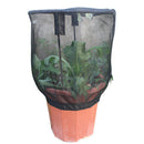 Insect Feeding Net Garden Plant Sunshade Terrarium Cover Cage Butterfly Habitat